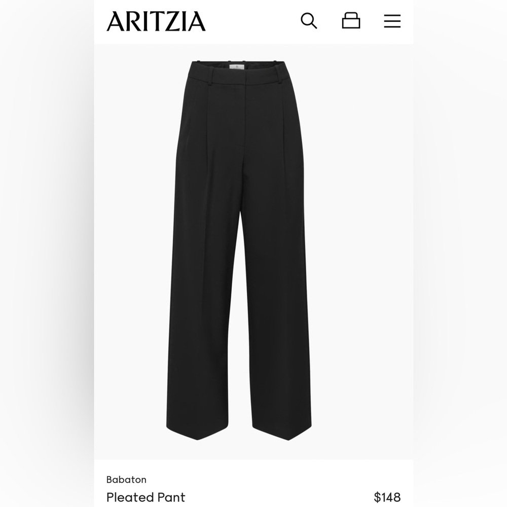 Aritzia Babaton Pleated Pants - **24 Inseam**